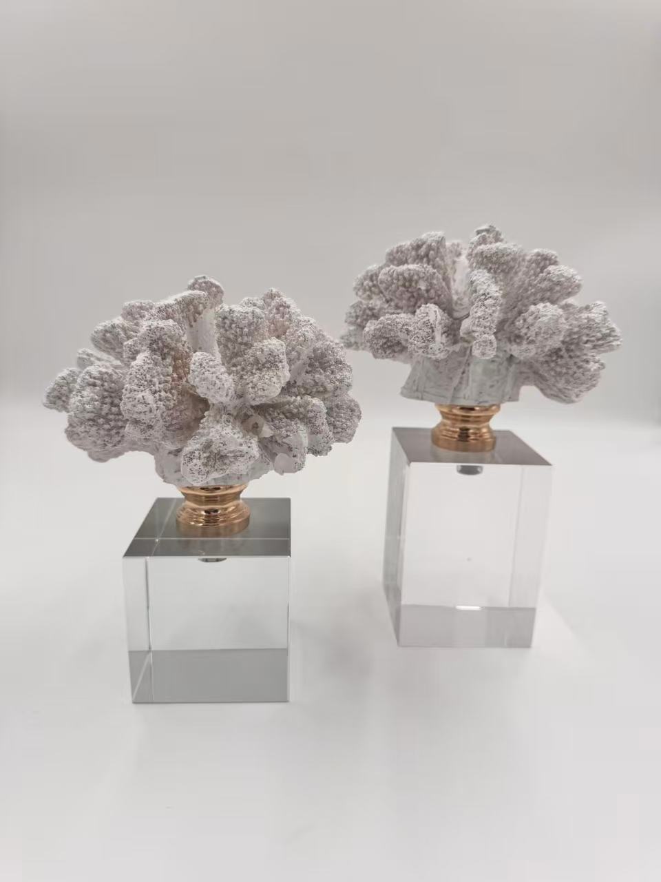 White-Coral-Decor-Ornament